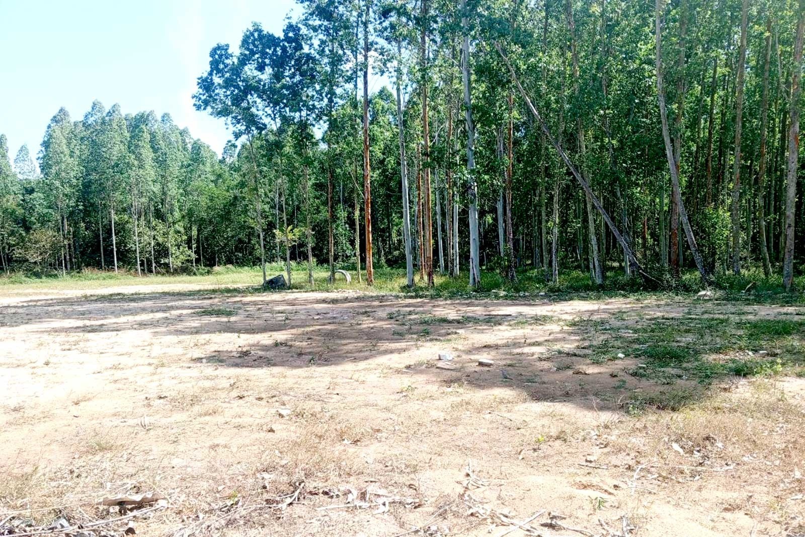 Prime 47-Rai Development Land for Sale in Cherng Talay, Phuket