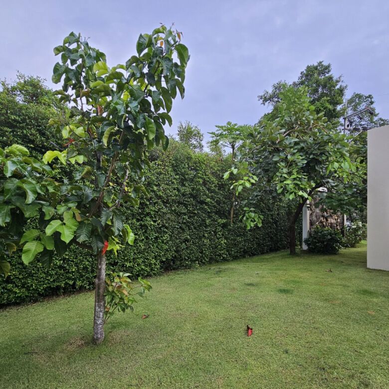Luxury 5-Room Standalone Pool Villa for Sale in Cherngtalay, Phuket – THB 55 Million