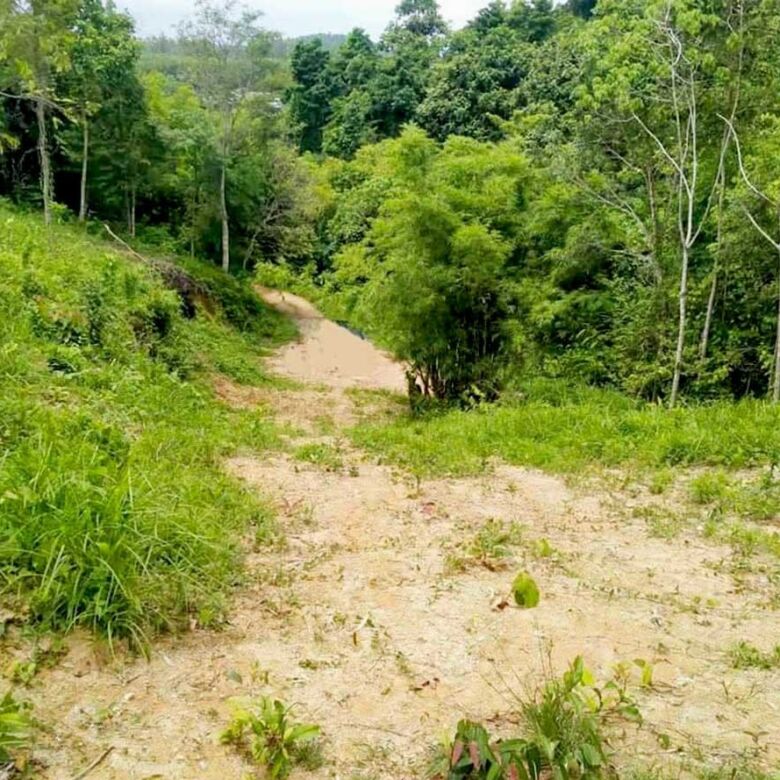 Rare Land for Sale in Layan, Phuket – 39,668 SQM Development Opportunity