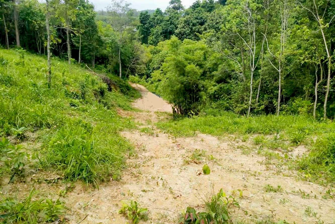 Rare Land for Sale in Layan, Phuket – 39,668 SQM Development Opportunity
