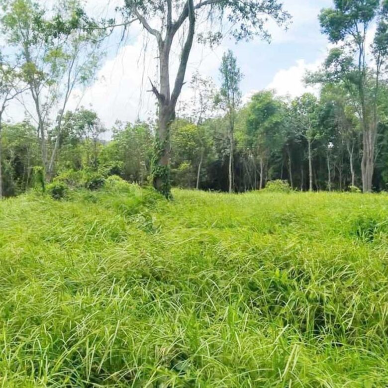 Rare Land for Sale in Layan, Phuket – 39,668 SQM Development Opportunity