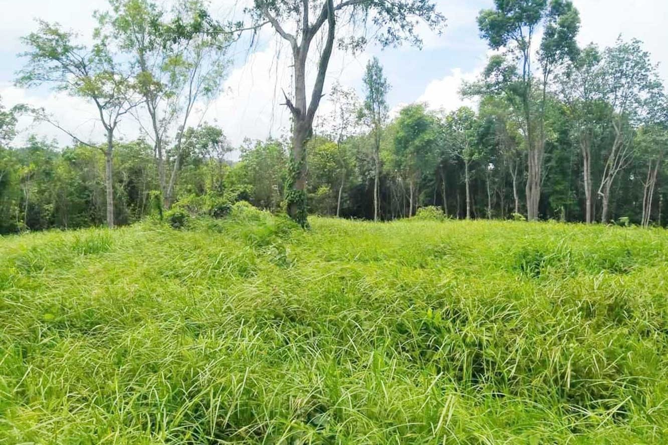 Rare Land for Sale in Layan, Phuket – 39,668 SQM Development Opportunity