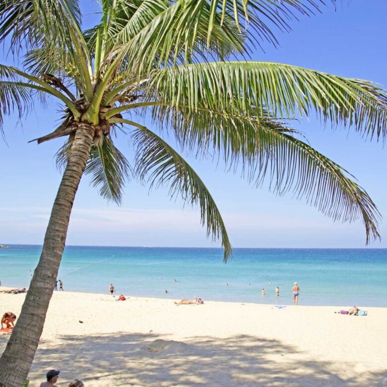 Near-the-Beach Land for Sale in Karon Beach, Phuket – 8,000 SQM | THB 300 Million