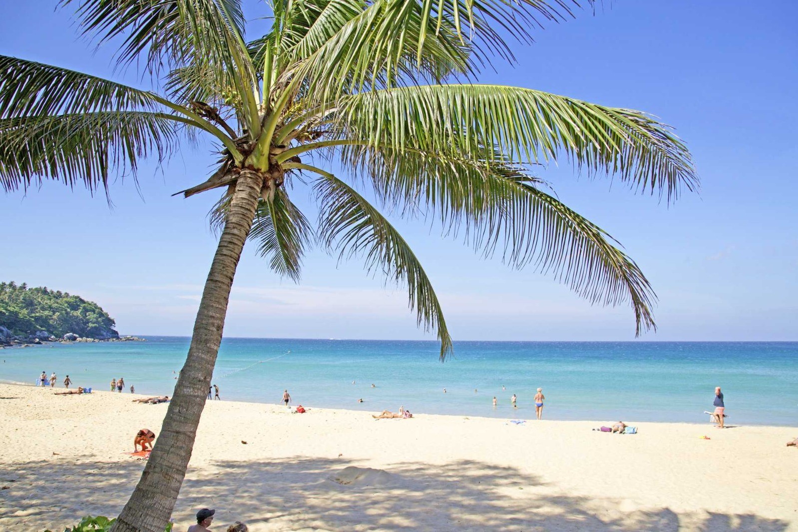 Near-the-Beach Land for Sale in Karon Beach, Phuket – 8,000 SQM | THB 300 Million