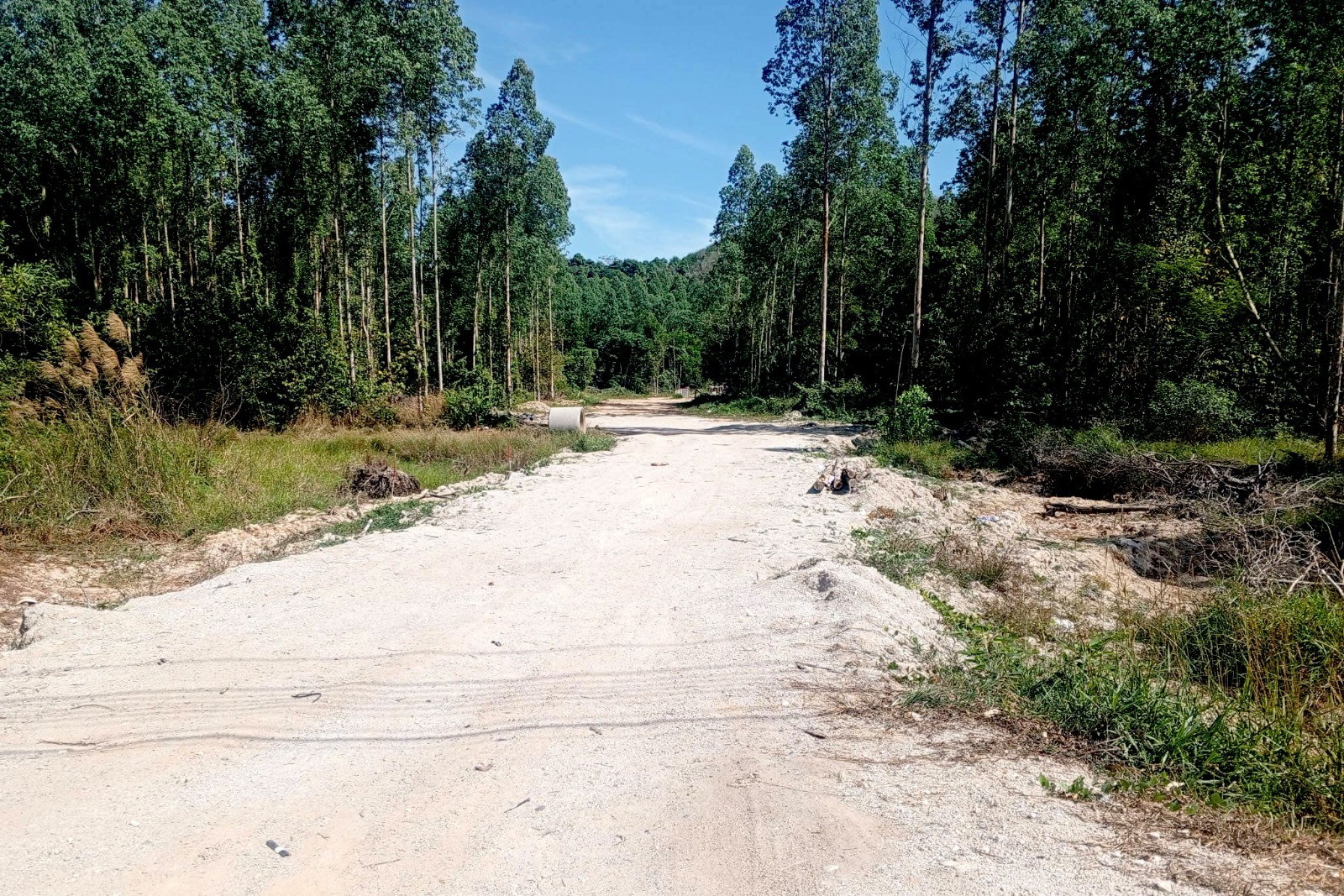 Prime Development Land for Sale in Cherng Talay, Phuket – 17,248 SQM