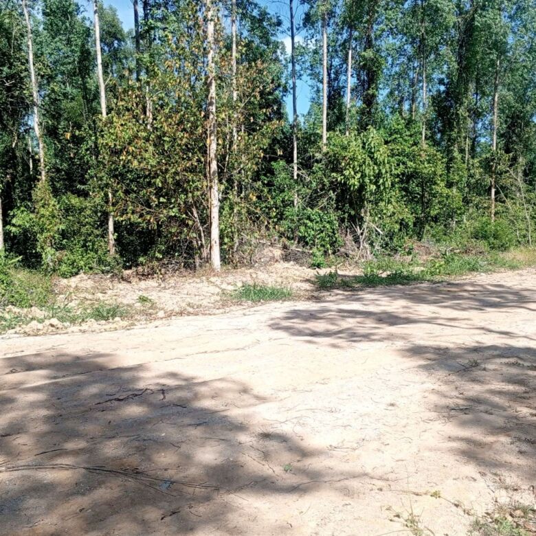 Prime Development Land for Sale in Cherng Talay, Phuket – 17,248 SQM