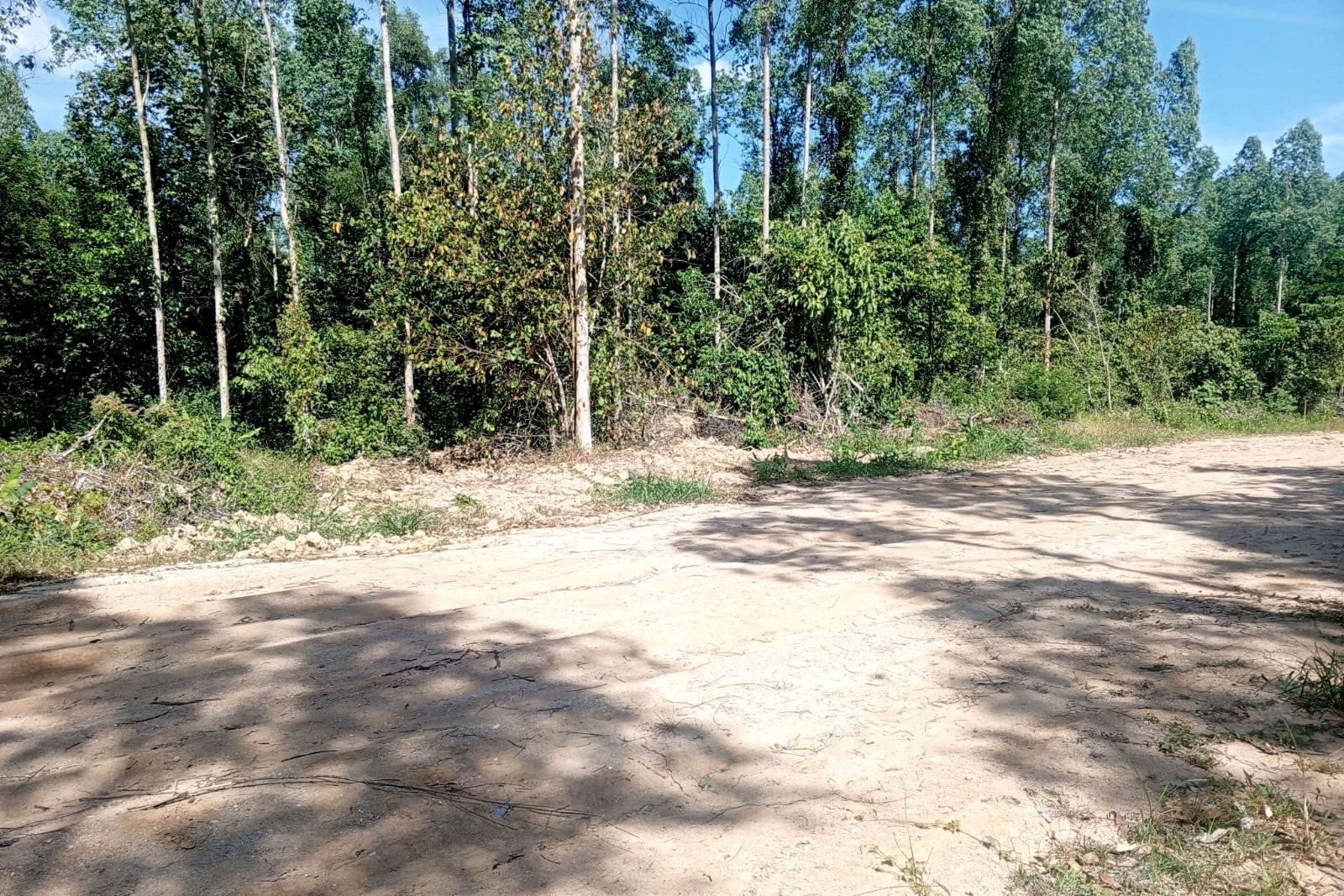 Prime Development Land for Sale in Cherng Talay, Phuket – 17,248 SQM