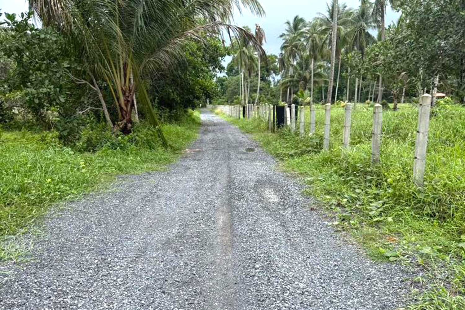 Land for Sale in Paklok, Thalang, Phuket – 6,848 SQM for Residential Development