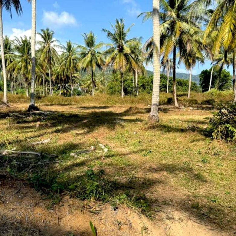 Land for Sale in Paklok, Thalang, Phuket – 6,848 SQM for Residential Development