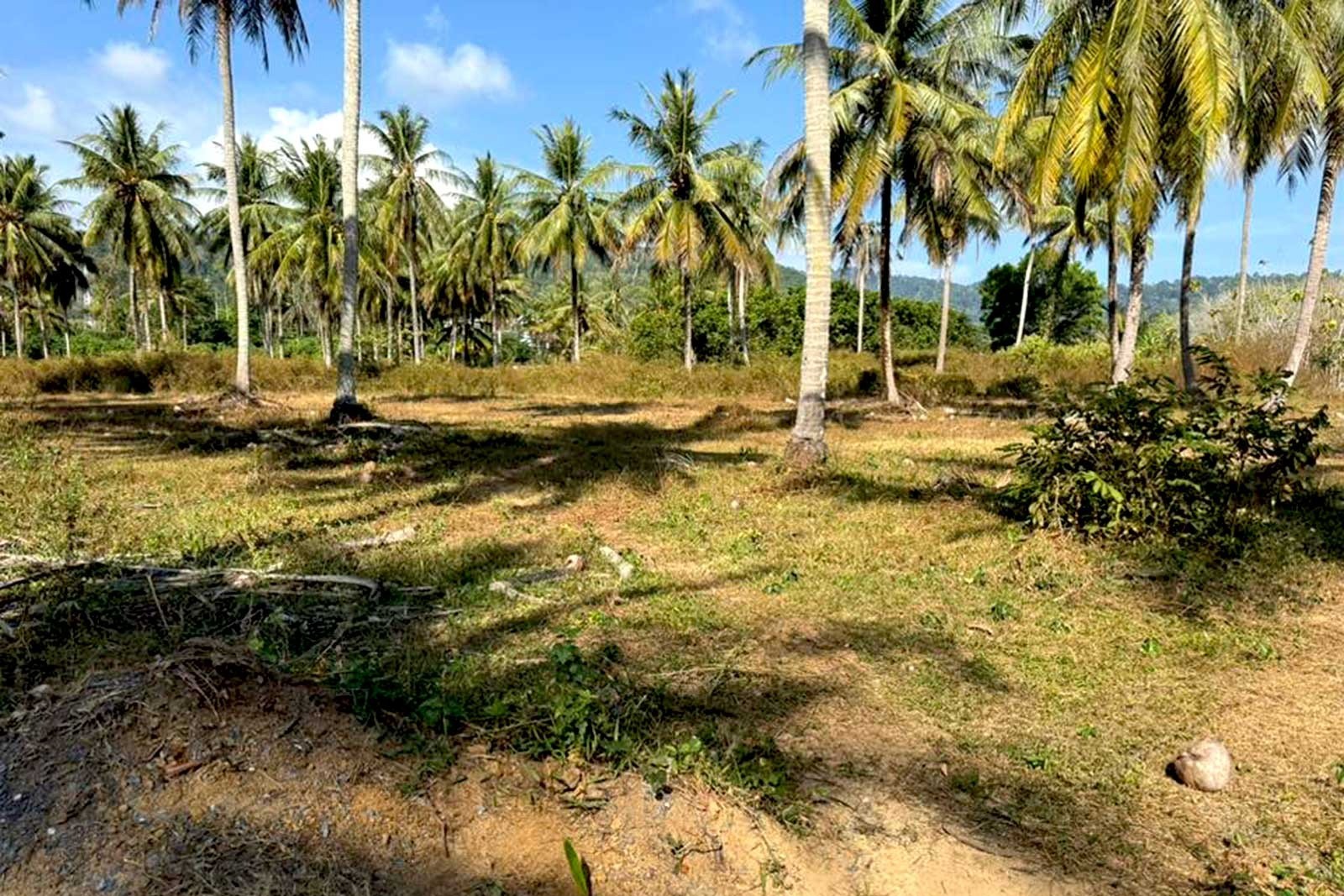 Land for Sale in Paklok, Thalang, Phuket – 6,848 SQM for Residential Development