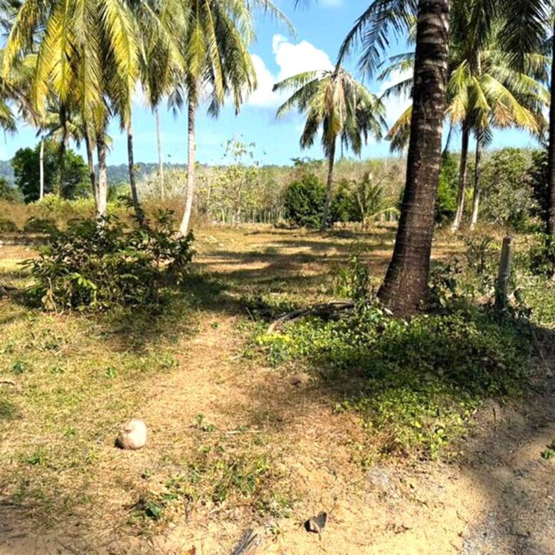 Land for Sale in Paklok, Thalang, Phuket – 6,848 SQM for Residential Development
