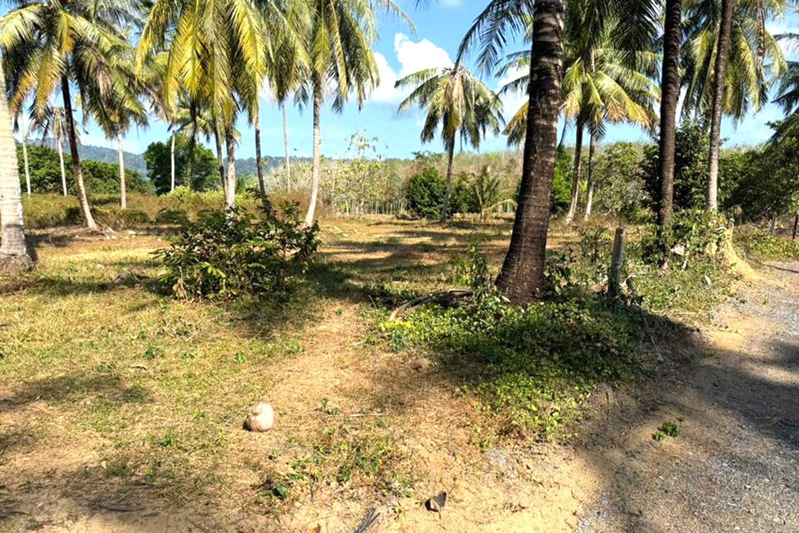 Land for Sale in Paklok, Thalang, Phuket – 6,848 SQM for Residential Development