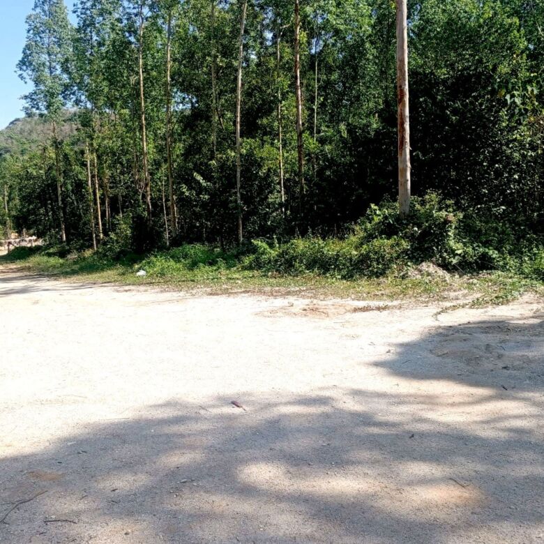 Prime Development Land for Sale in Cherng Talay, Phuket – 22,396 SQ.M.