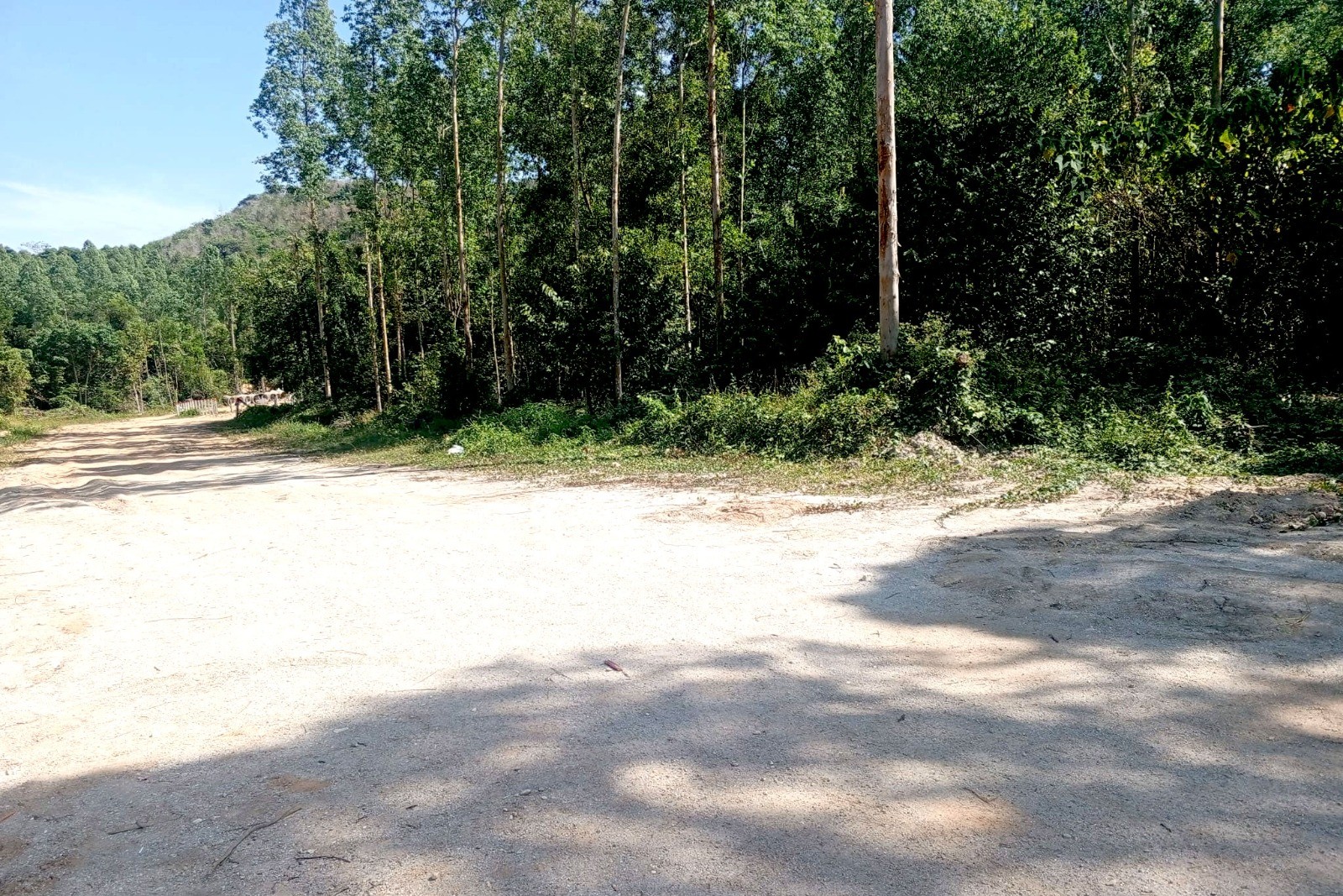 Prime Development Land for Sale in Cherng Talay, Phuket – 22,396 SQ.M.