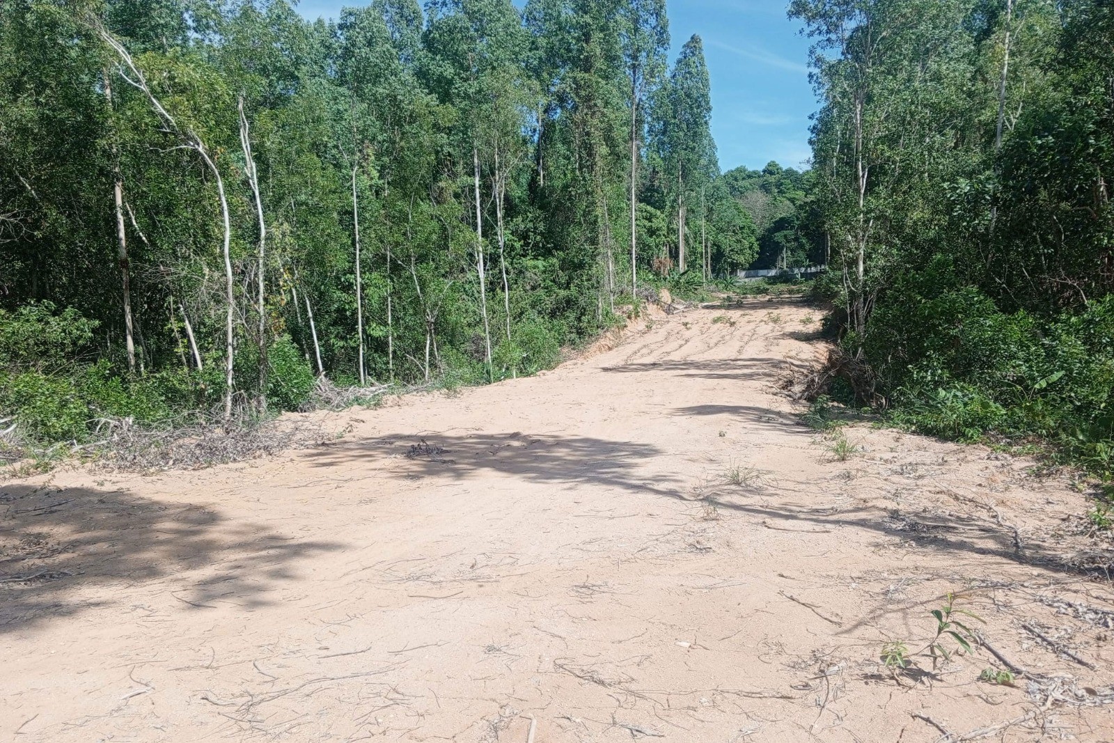 Prime Development Land for Sale in Cherng Talay, Phuket – 22,396 SQ.M.